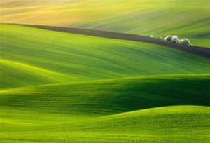 Chờ một người xa – Thơ Hồ Anh Tuấn