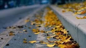 Phúc âm buồn – Thơ Đinh Thị Như Thúy