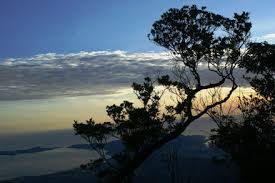 Bên đời một ánh vàng mây - Trần Trình Lãm