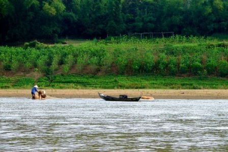 Chèo ghe bẻ bắp bên sông...