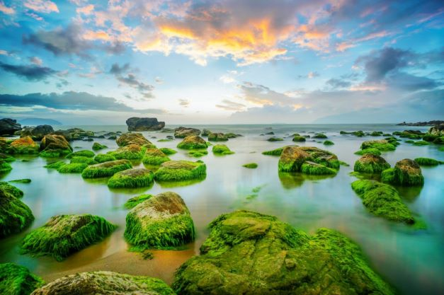 Thành phố những tầng xanh