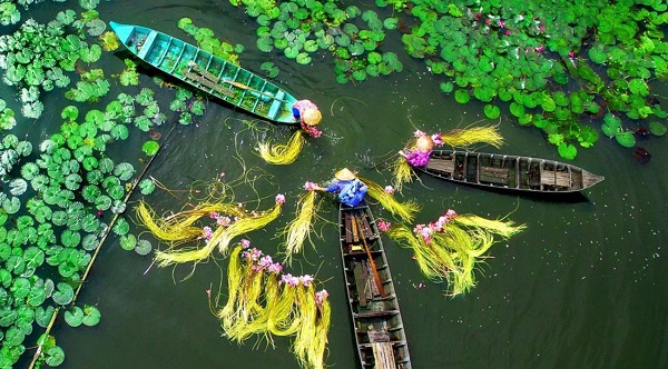 Triều cường và em