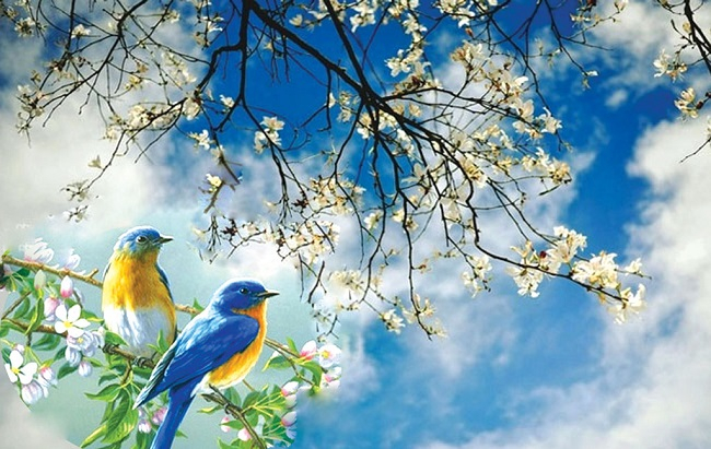 Mùa xuân đến muộn