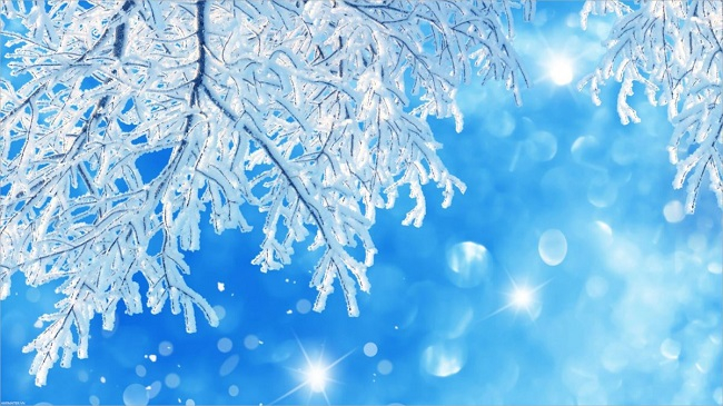 Chờ mùa đông đi qua