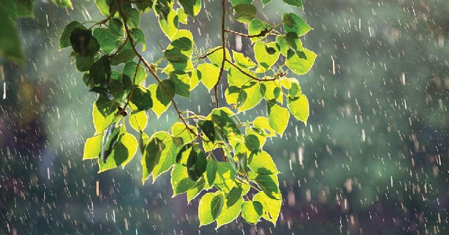 Những ngày tháng Giêng