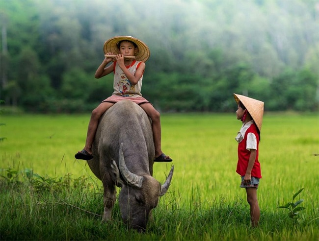 Nếu có thể