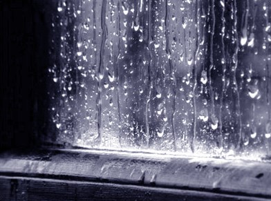 Tiếng mưa rơi trong đêm – Tản văn Ngô Phan Lưu