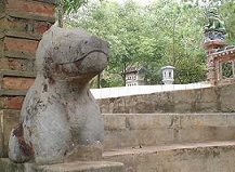 Hình tượng chó trong văn hóa Việt - Nguyễn Ngọc Giao