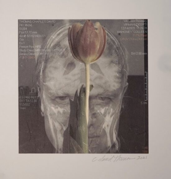 Triển lãm Finding Parkinsons của David Thomas và Tranh đồ họa của nhóm nghệ sĩ Boston” tại Đà Nẵng