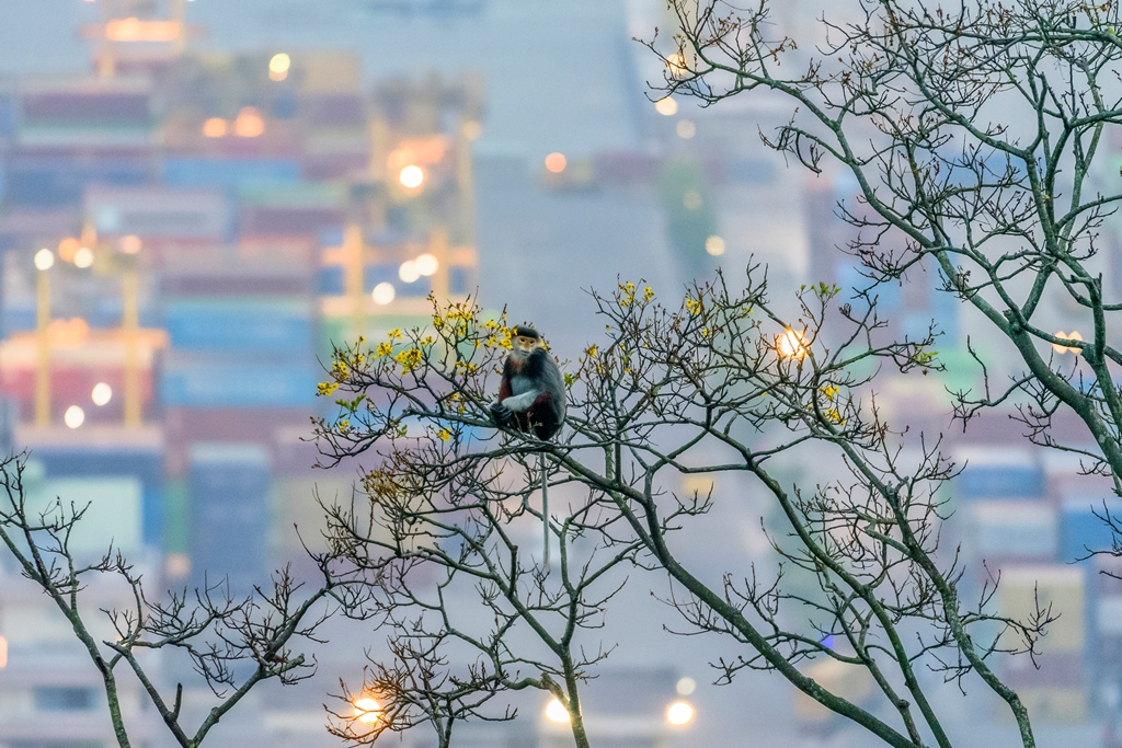 Chiều bên bến cảng