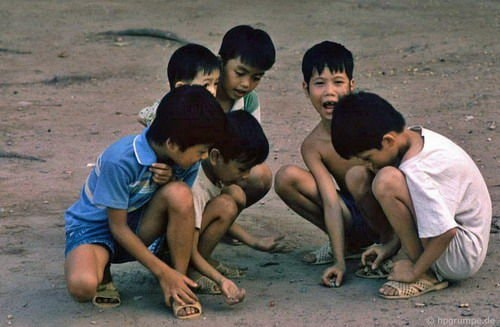 Mùa đá dế cuối cùng